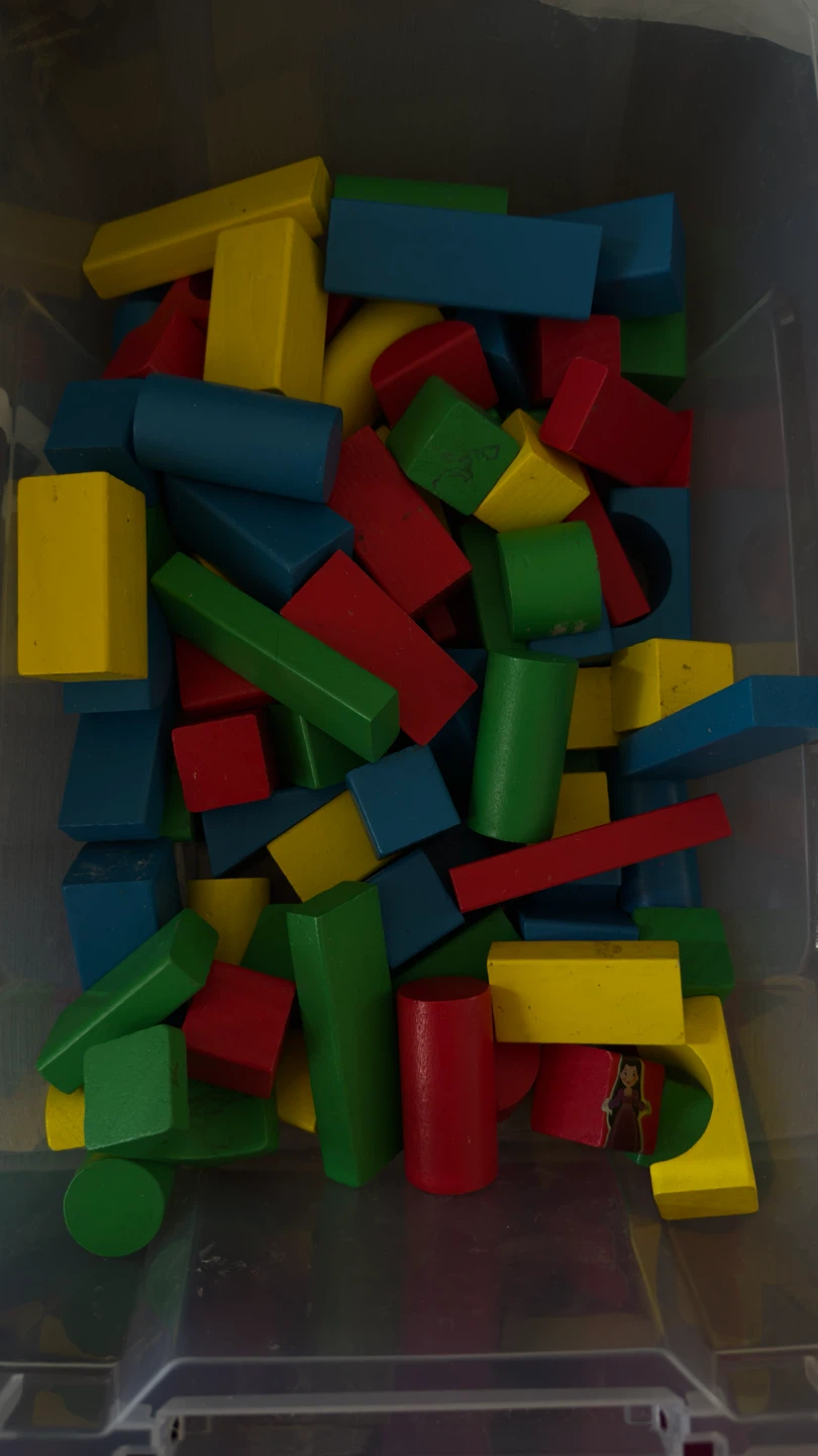 Assorted Wooden Building Blocks