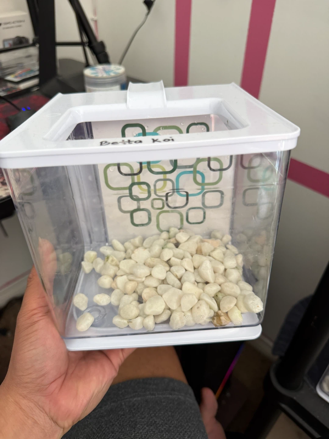 Betta Fish Tank Starter Kits