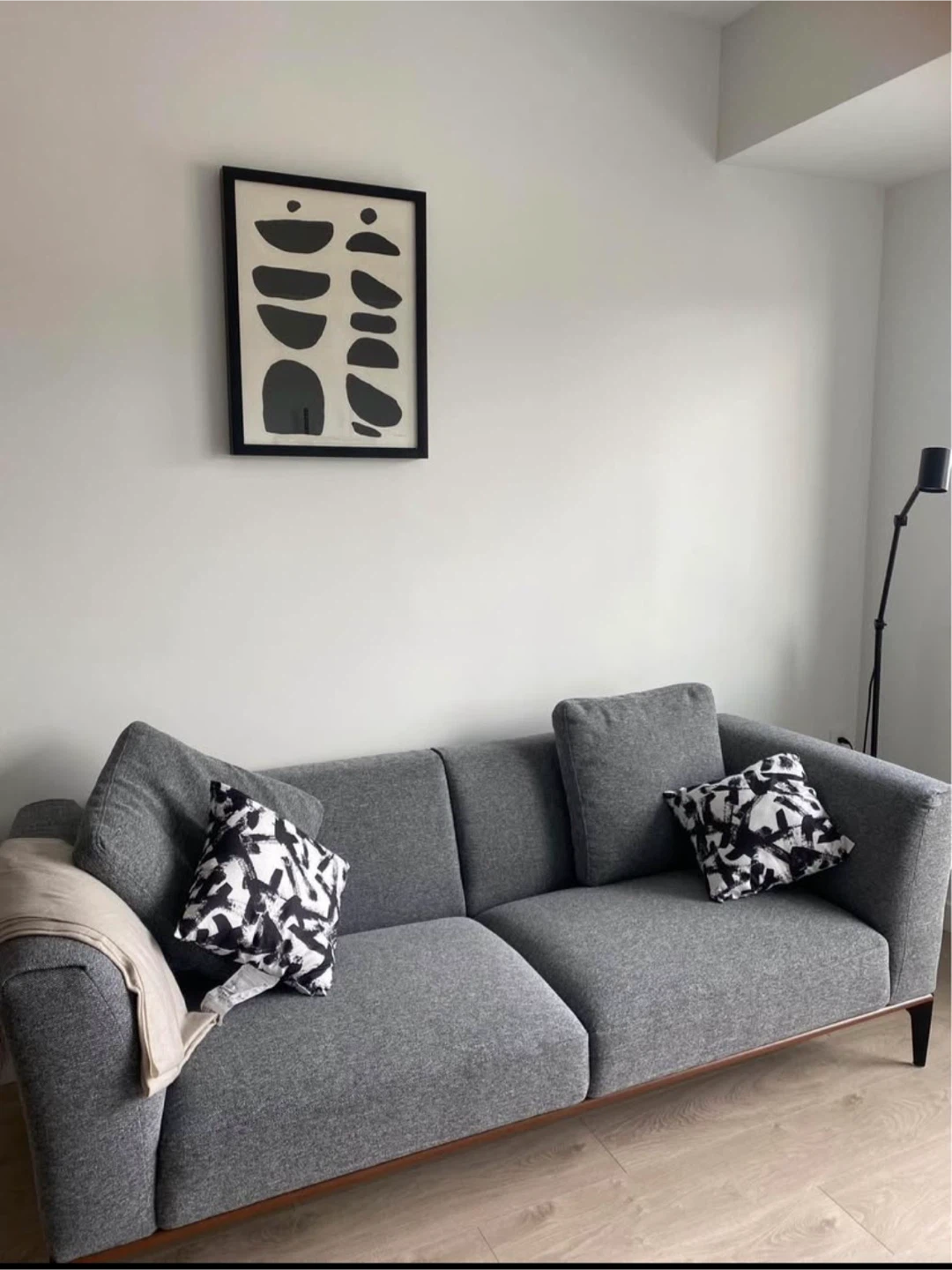Structube Lounis Sofa — Grey — $300 OBO