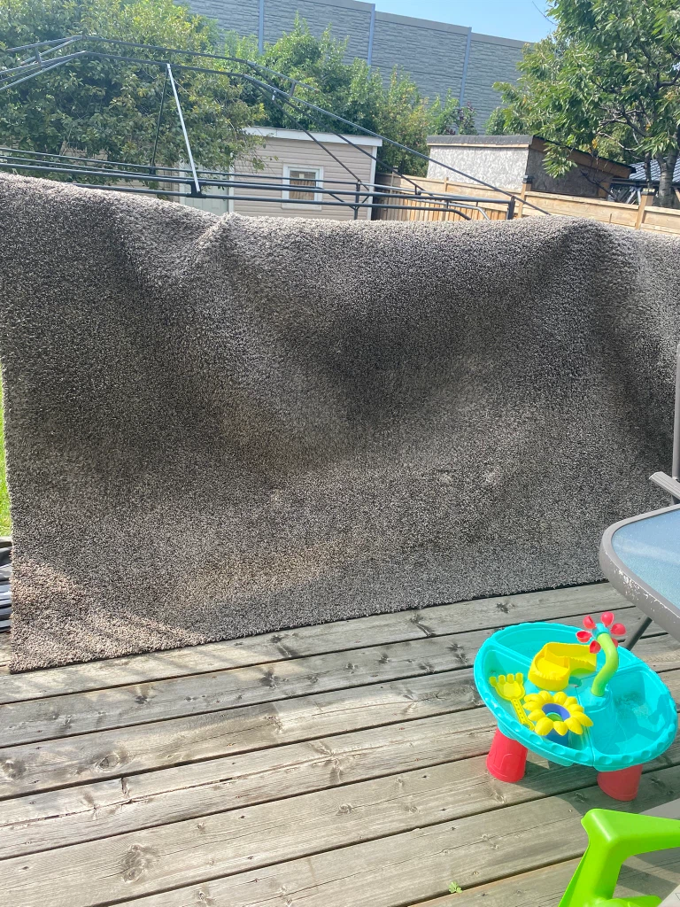 Low pile Shag Area Rug 8 ‘ x 10’