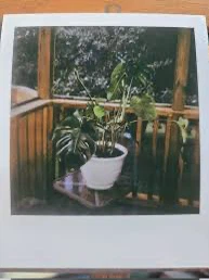 Polaroid Pronto! B Land Camera - photo 5