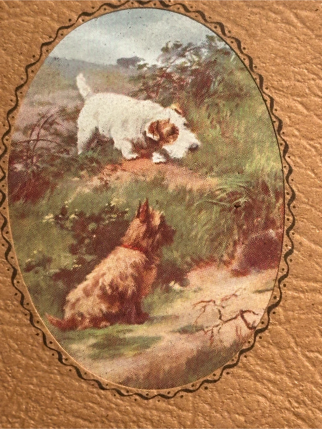 1950s English Perpetual Desk Calendar Terrier Dogs - photo 3