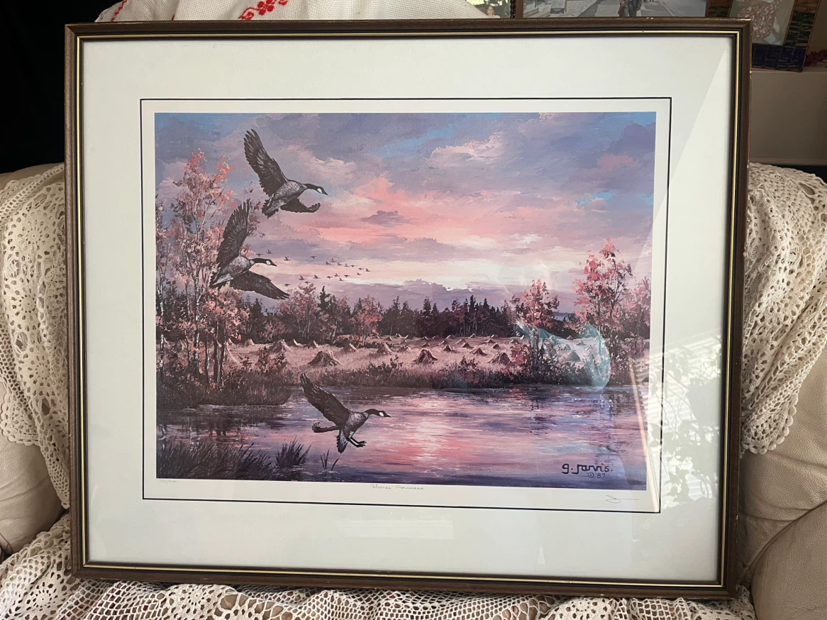 Art-Fine Art Print- Georgia Jarvis, “Nature's Showcase”