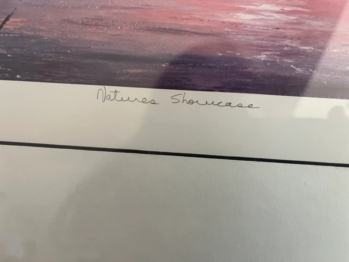 Art-Fine Art Print- Georgia Jarvis, “Nature's Showcase” - photo 4