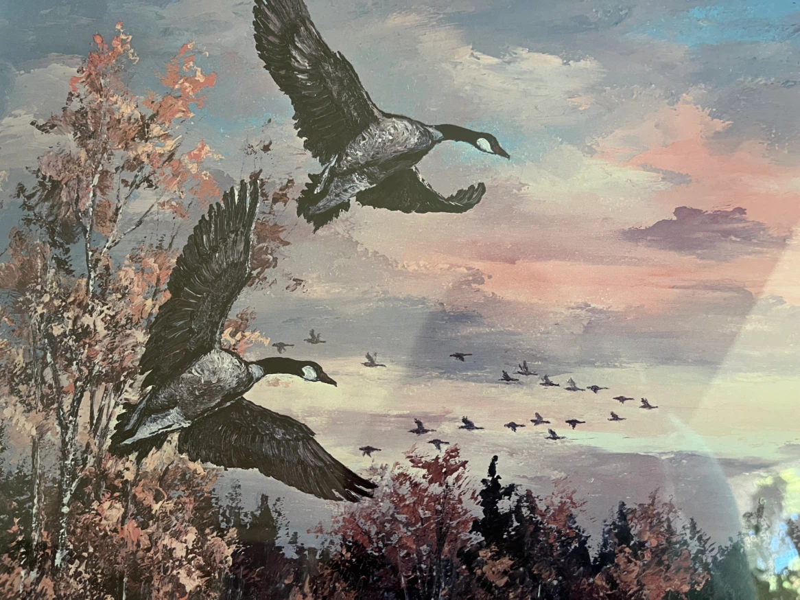 Art-Fine Art Print- Georgia Jarvis, “Nature's Showcase” - photo 5