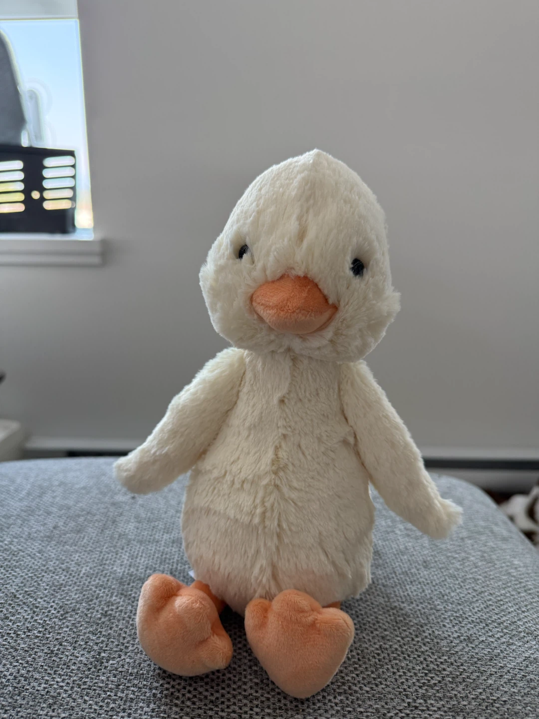 Bashful Duck