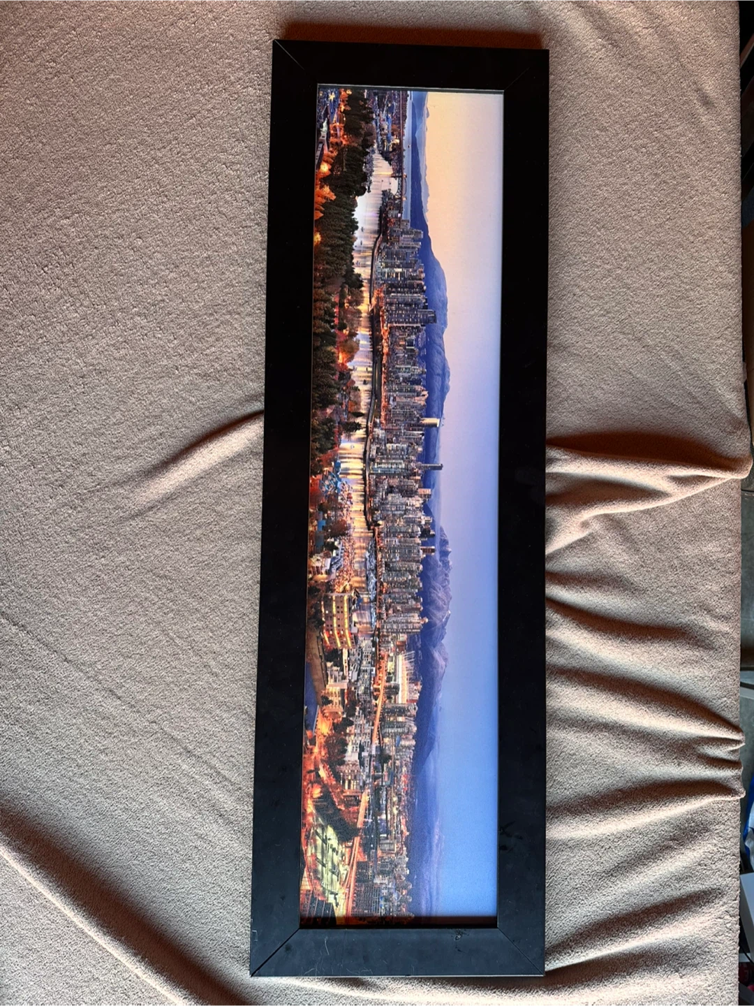 Framed Panoramic Cityscape Art Print