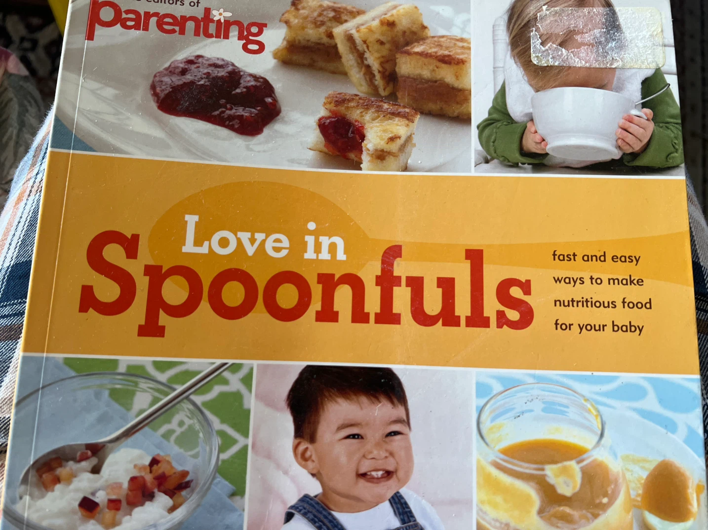 Love in Spoonfuls:Fast&Easy Ways Make Nutritious Food for Baby