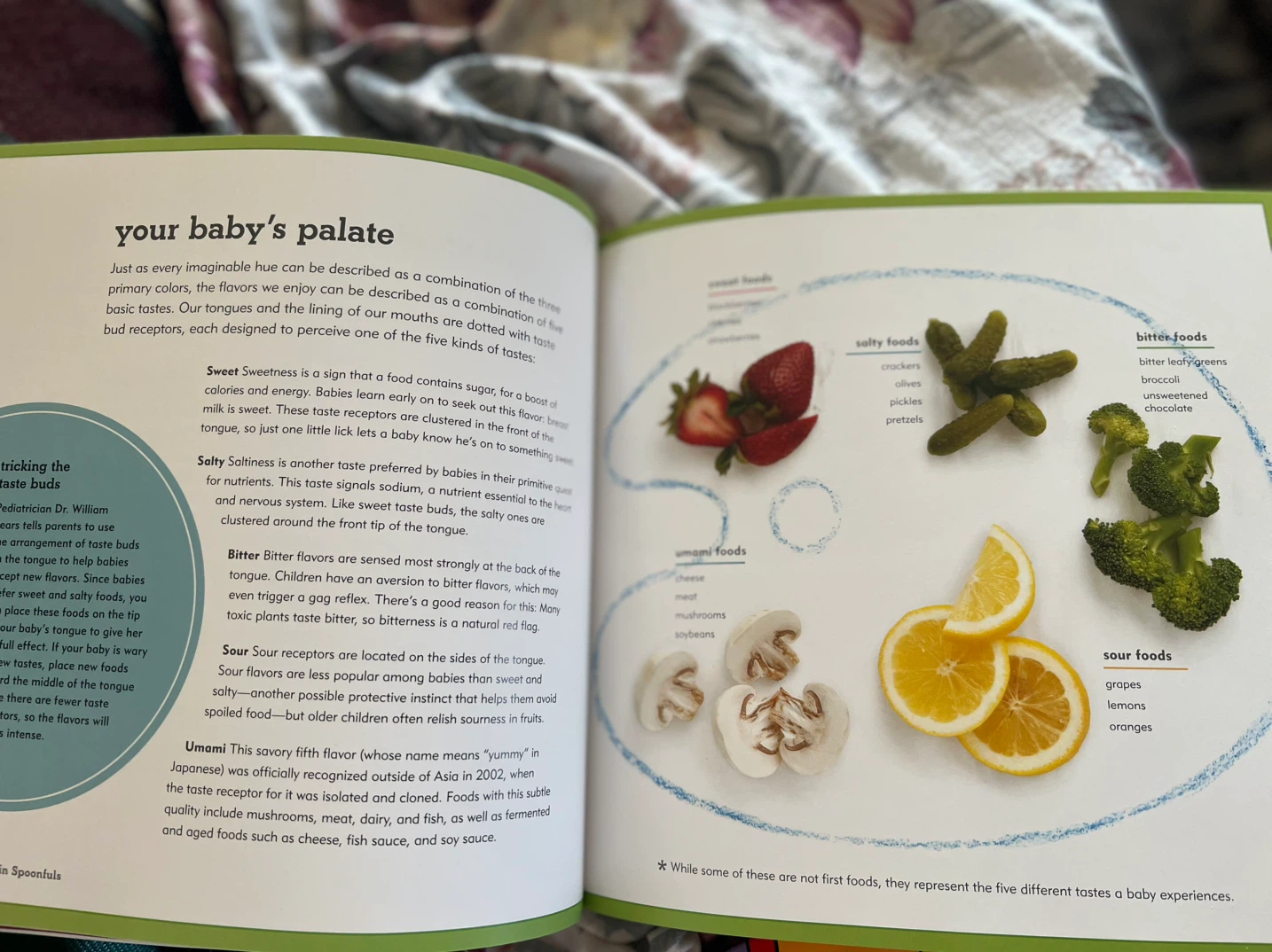 Love in Spoonfuls:Fast&Easy Ways Make Nutritious Food for Baby - photo 2