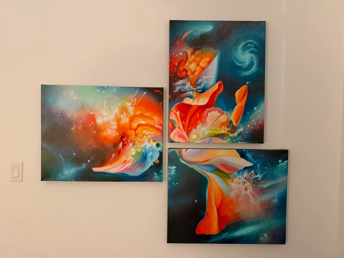 Abstract Nebula & Floral Canvas Art Set