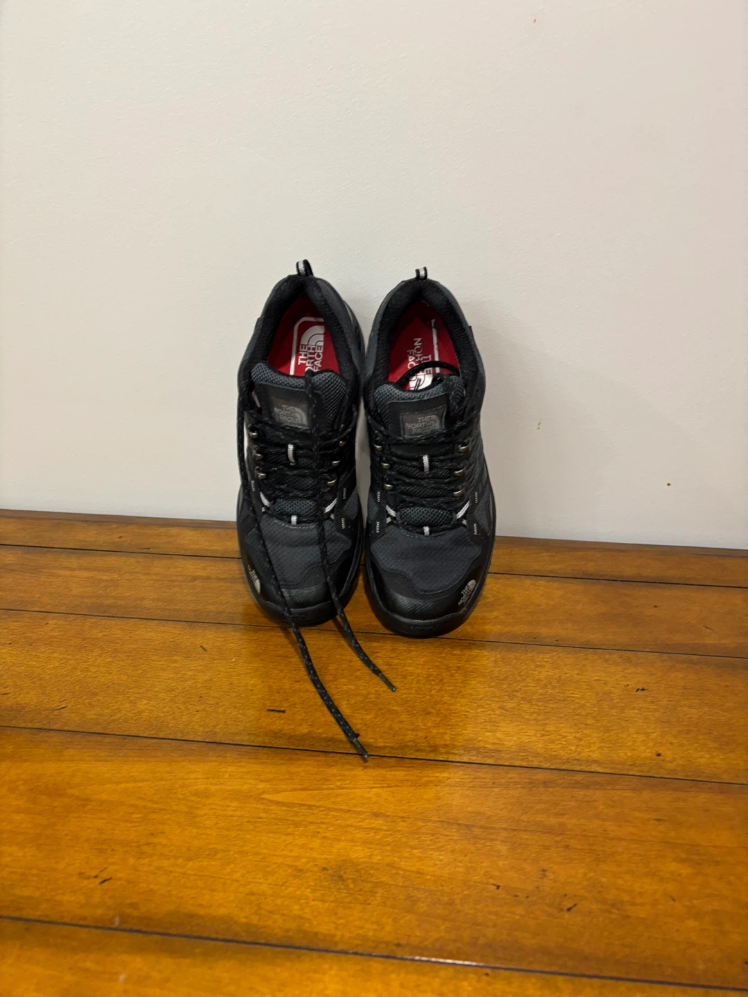 The North Face Gore-Tex Hiking Shoes