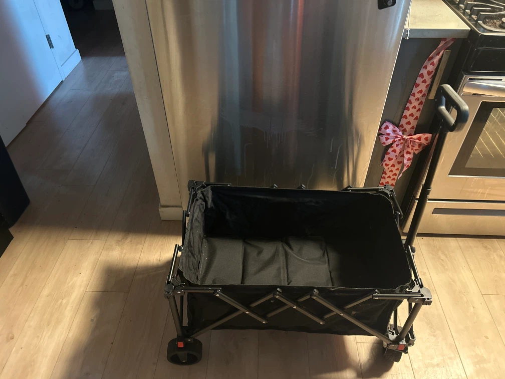 Black Folding Wagon