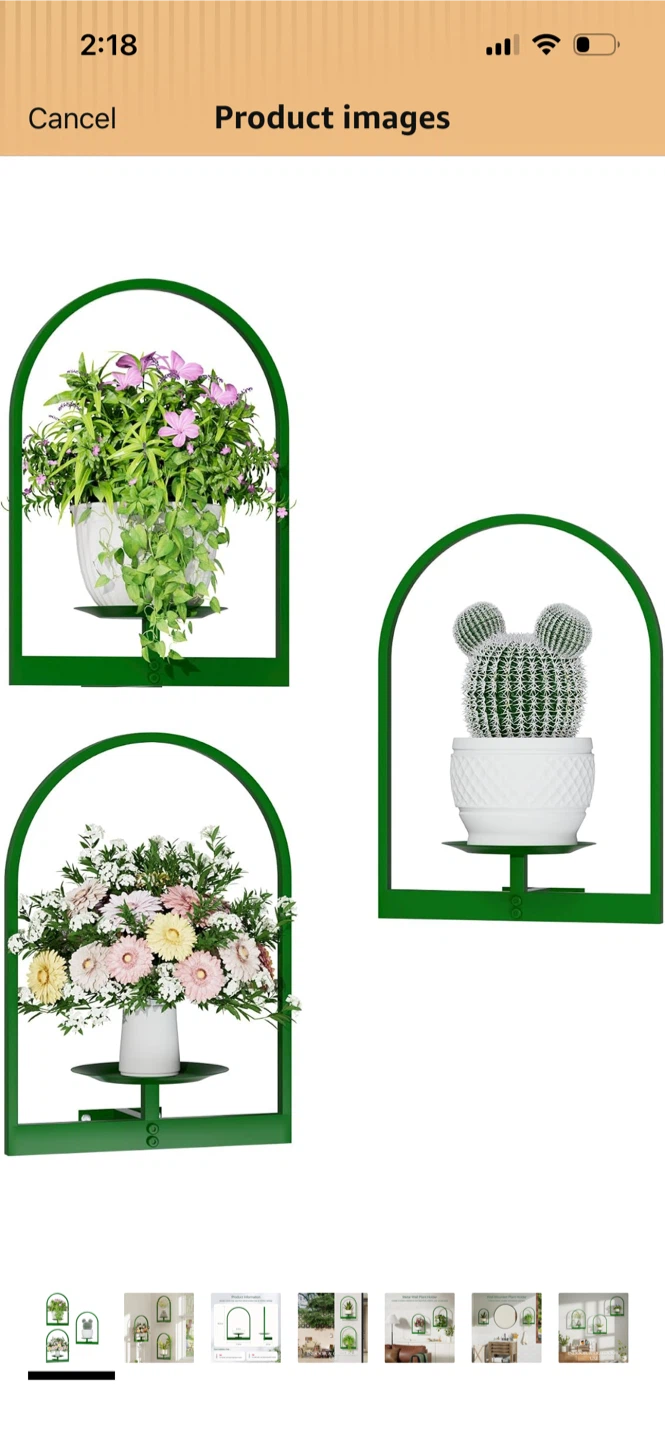 Metal Wall Plant Holder - Green