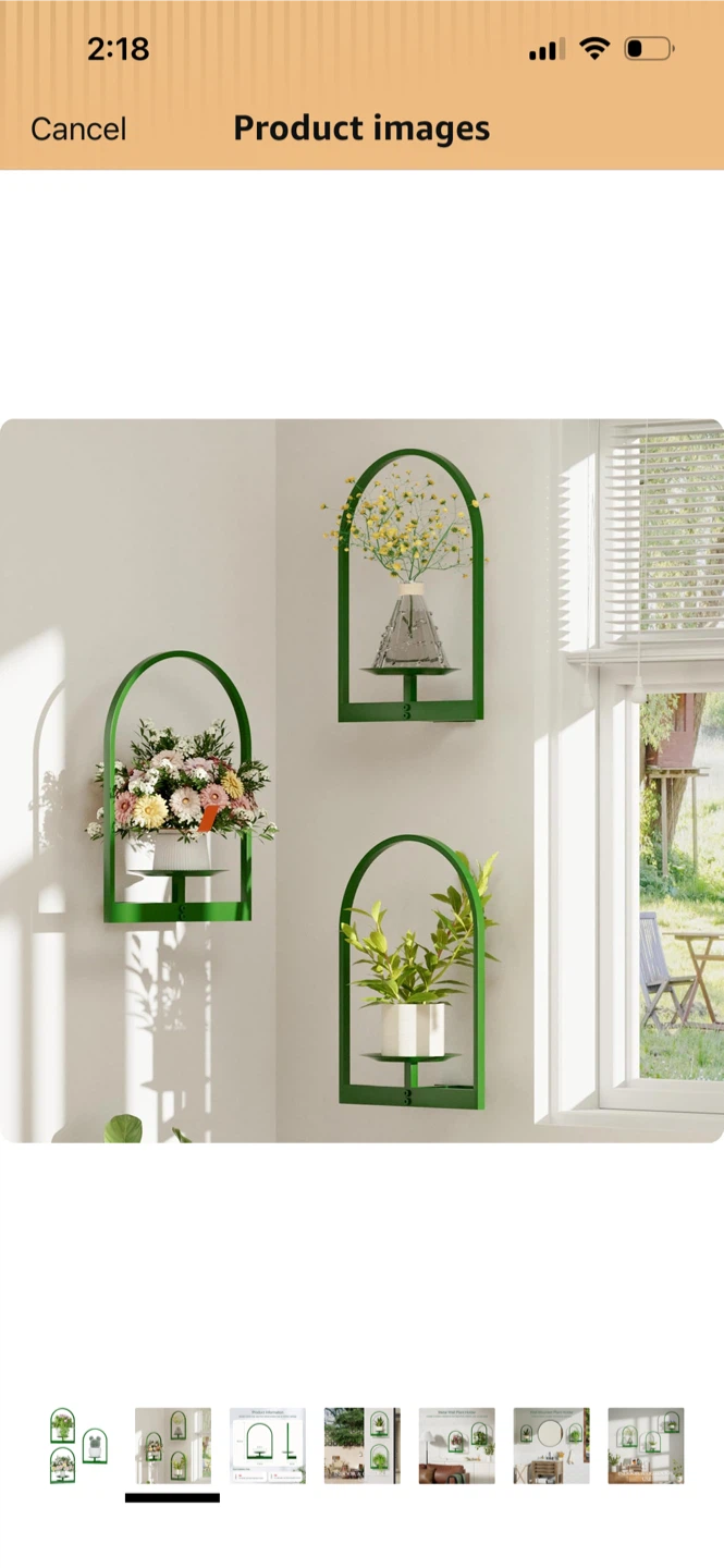 Metal Wall Plant Holder - Green - photo 2