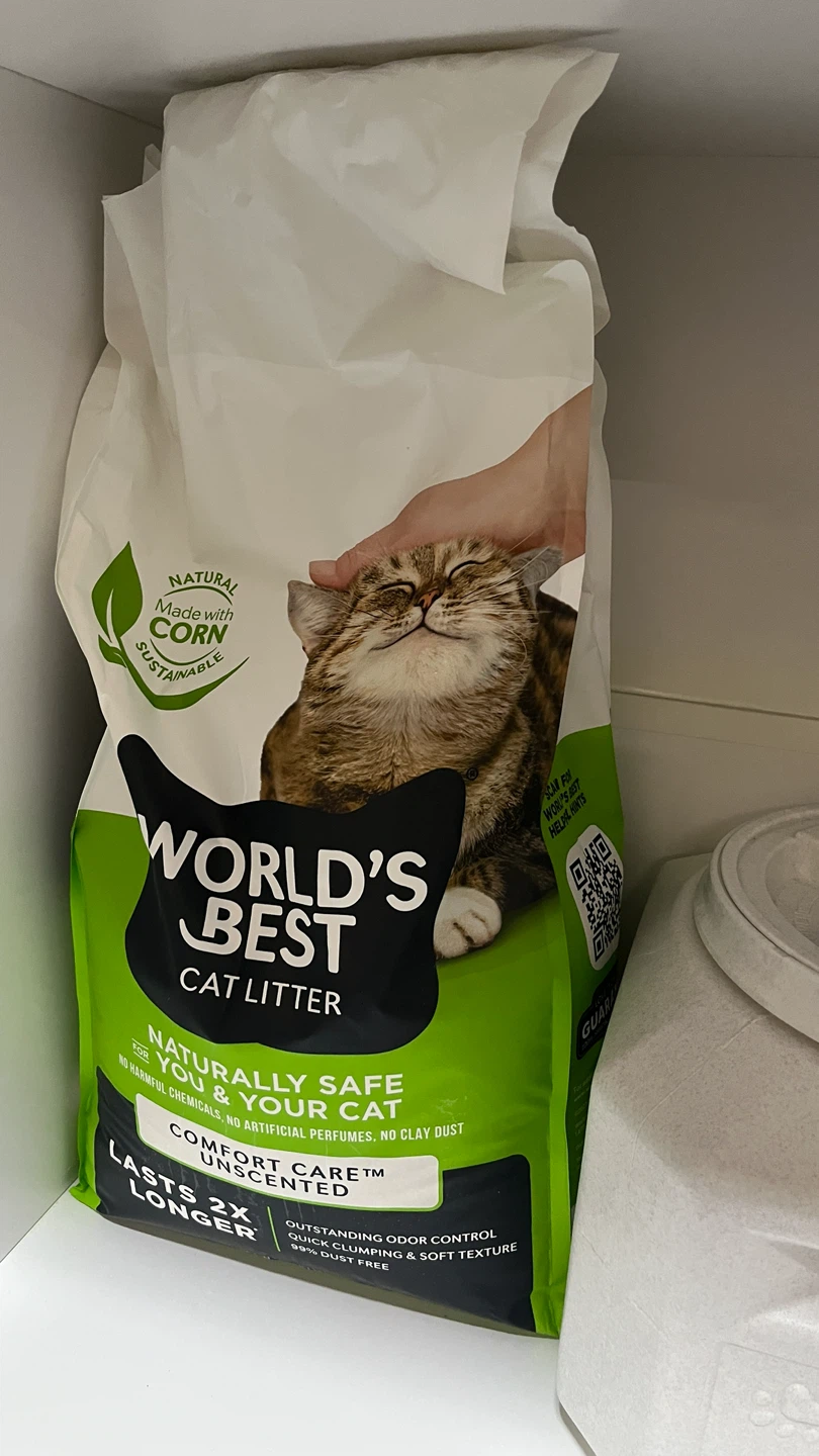 Free cat supplies - photo 2