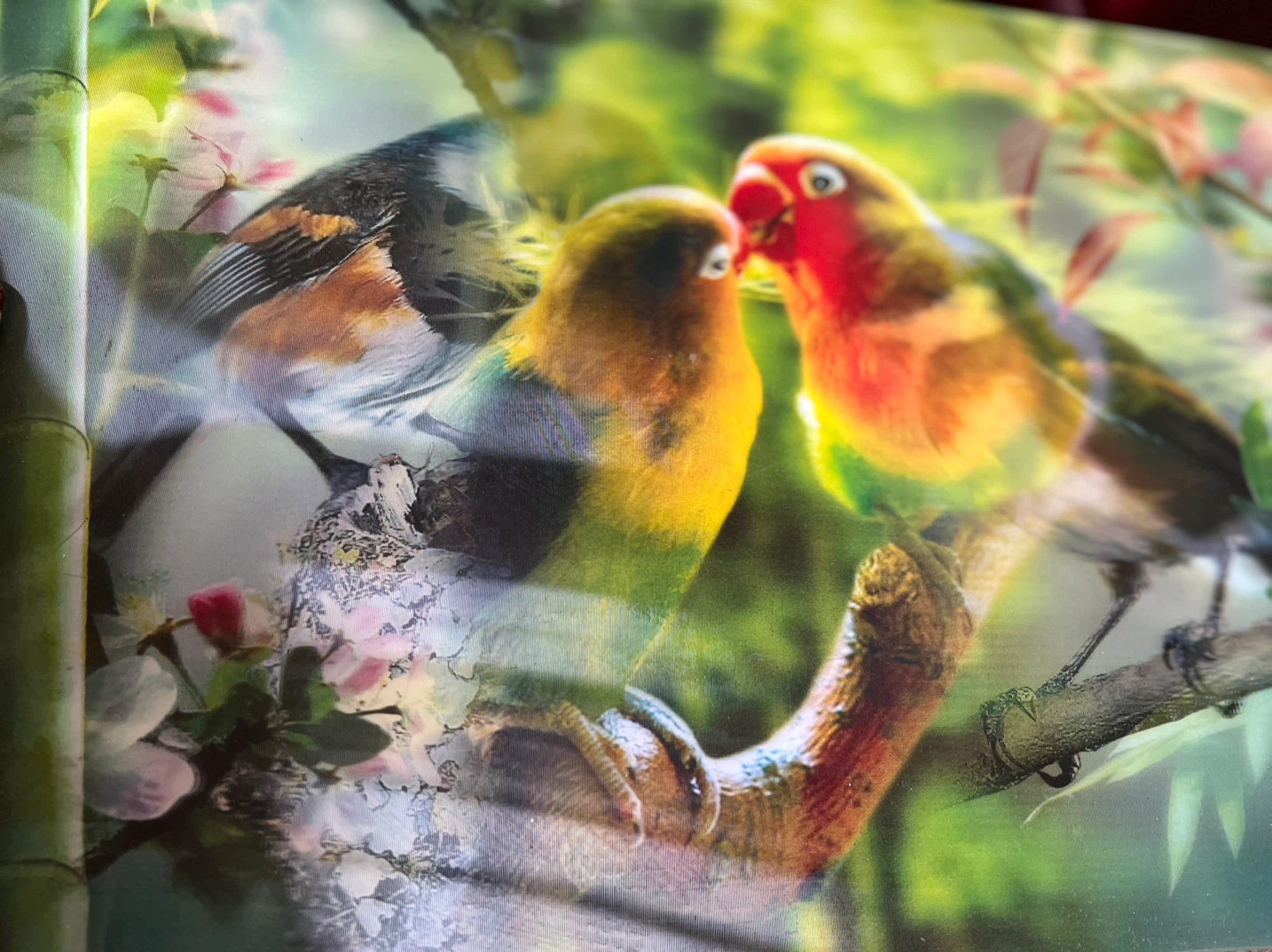 Bird Nature Scene Print
