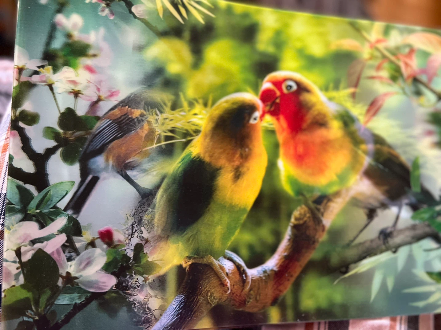 Bird Nature Scene Print - photo 2
