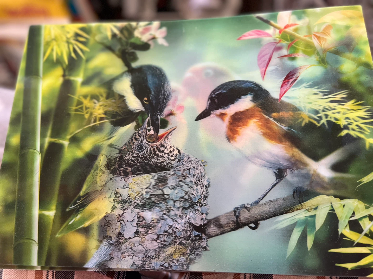 Bird Nature Scene Print - photo 4