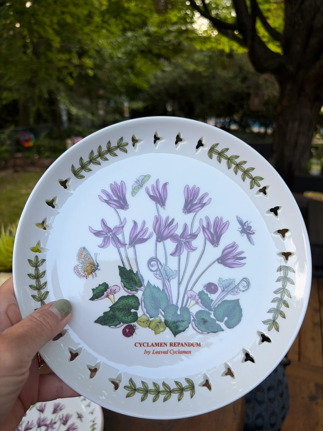 Portmeirion Botanic Garden Plates - Cyclamen Repandum