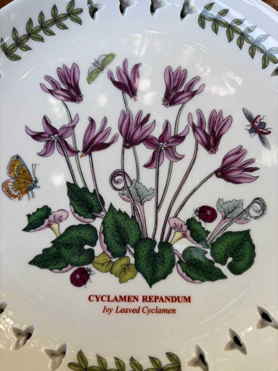 Portmeirion Botanic Garden Plates - Cyclamen Repandum - photo 2