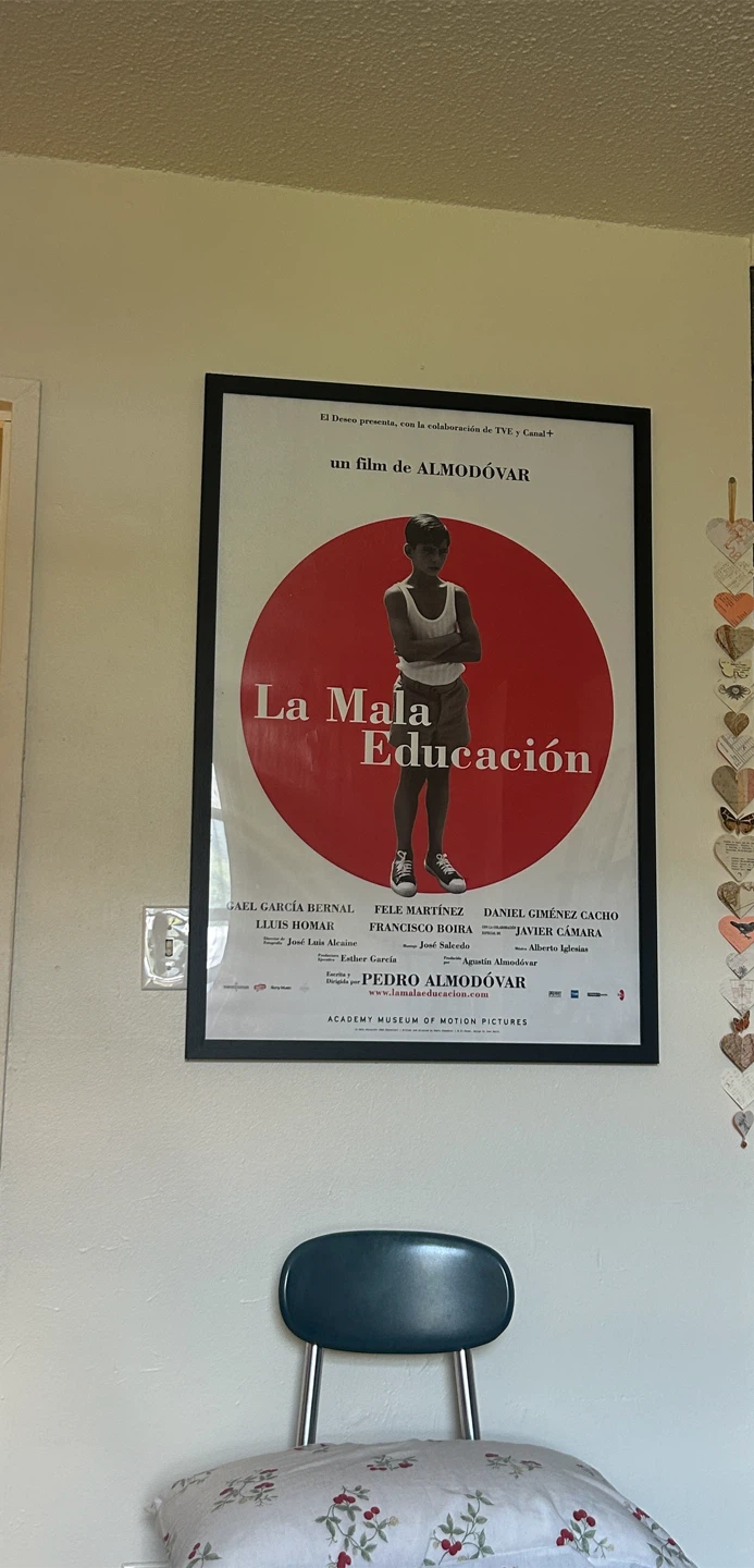 La Mala Educación (Bad Education) Movie Poster framed