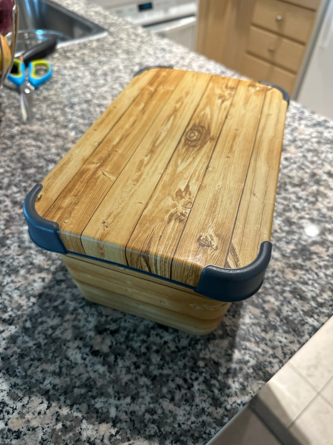 Plastic Storage Container with Lid