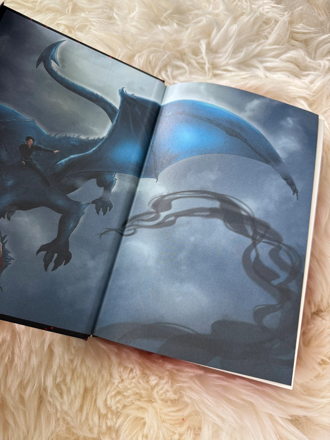 (Iron Flame) Alas de Hierro signed special edition - photo 3