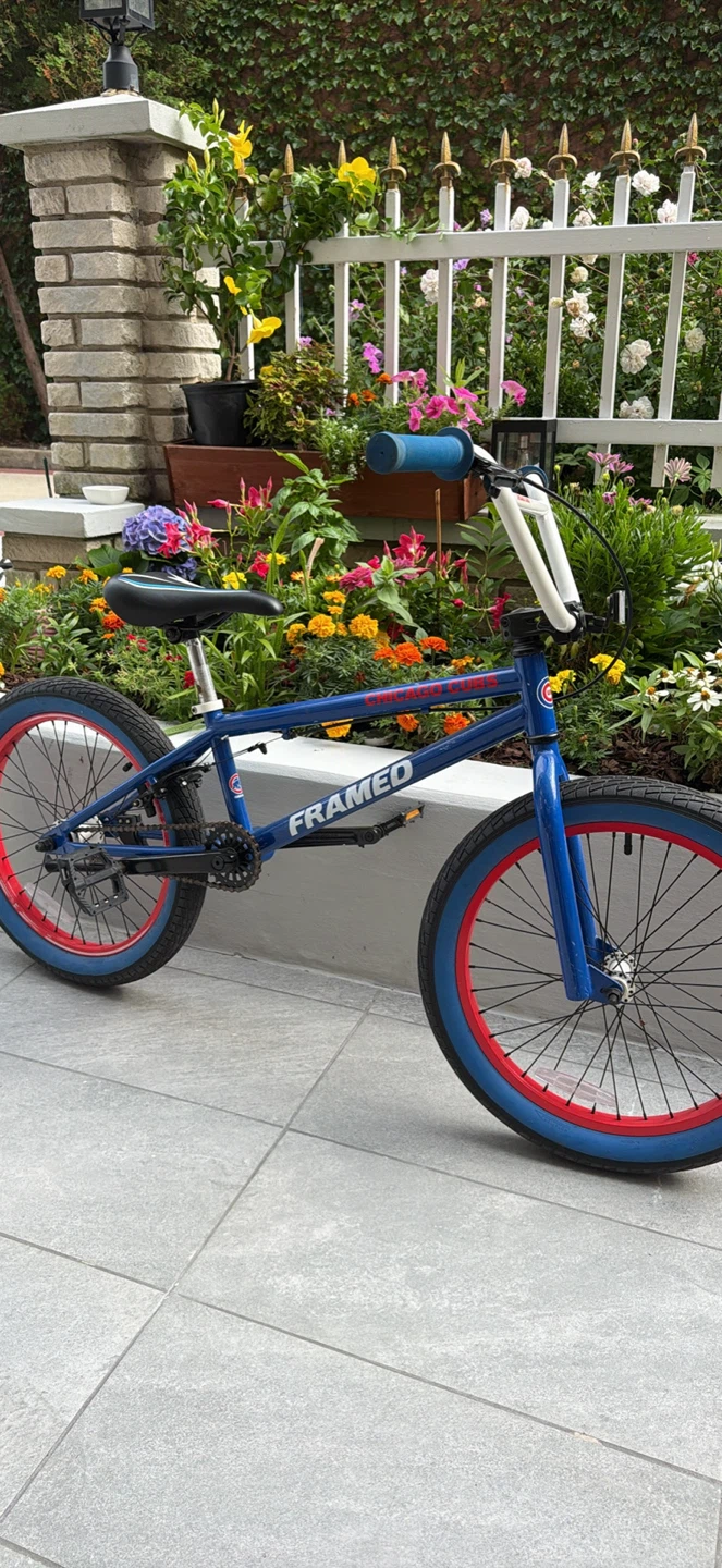 Cubs Bike 21”
