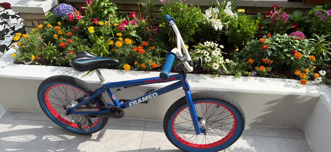 Cubs Bike 21” - photo 2