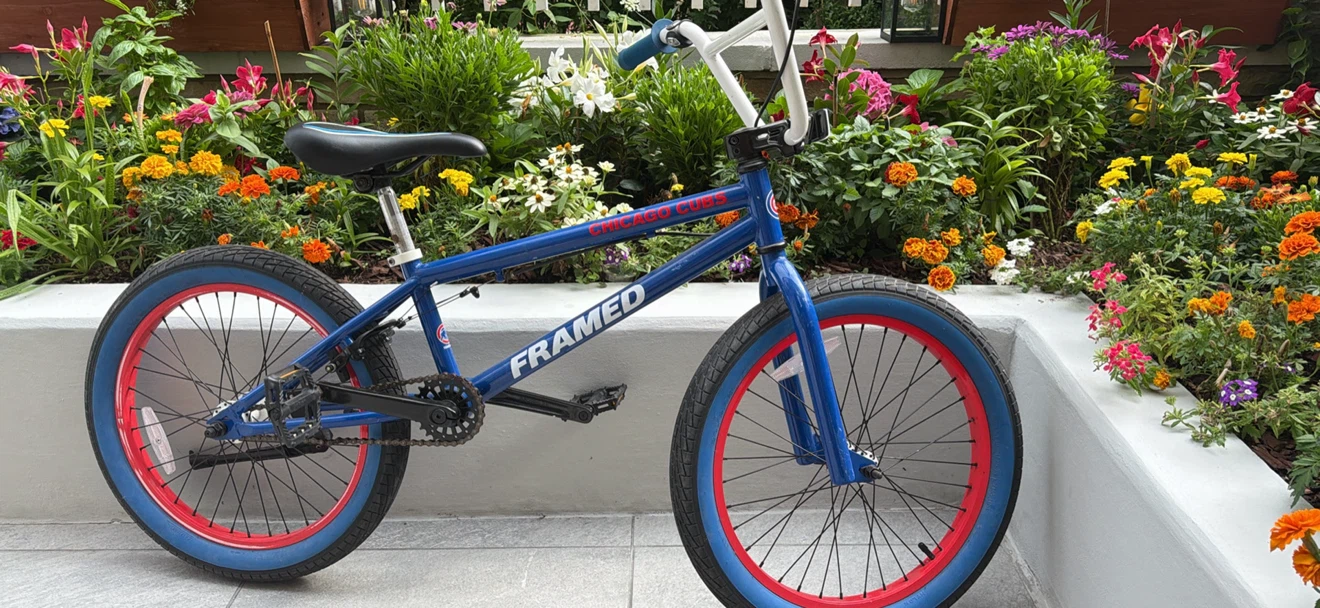 Cubs Bike 21” - photo 3