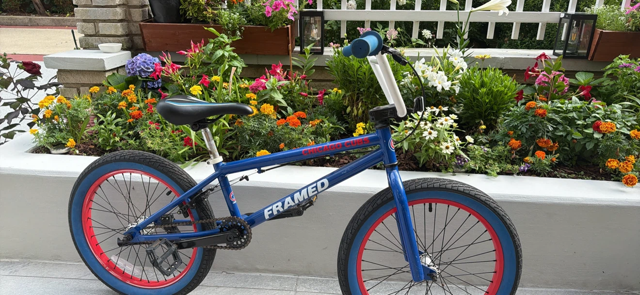 Cubs Bike 21” - photo 5