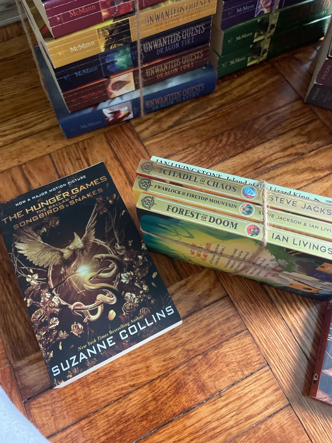 Book series - preteen to teen - photo 3