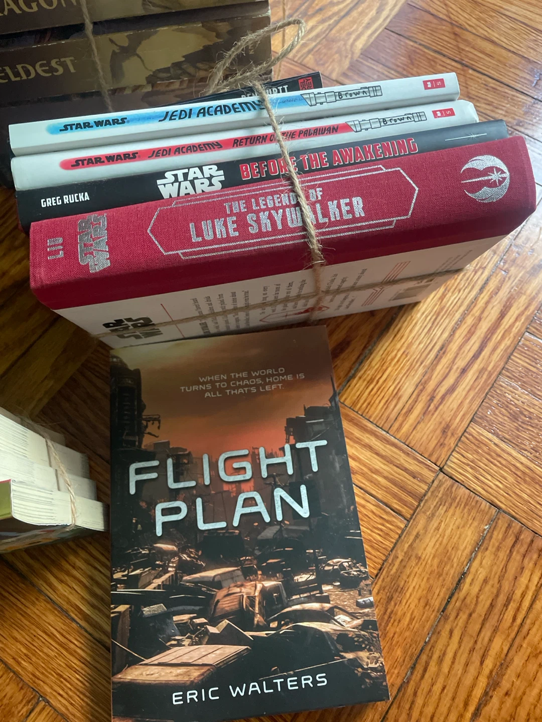 Book series - preteen to teen - photo 4