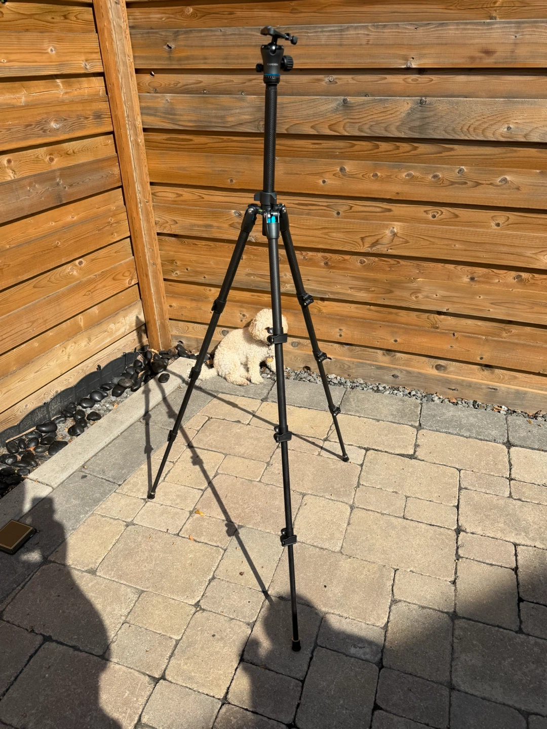 Cameron Tripod with Carry Bag - photo 4