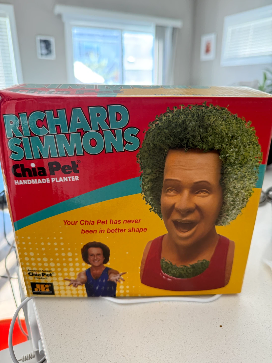 Richard Simmons Chia Pet Handmade Planter