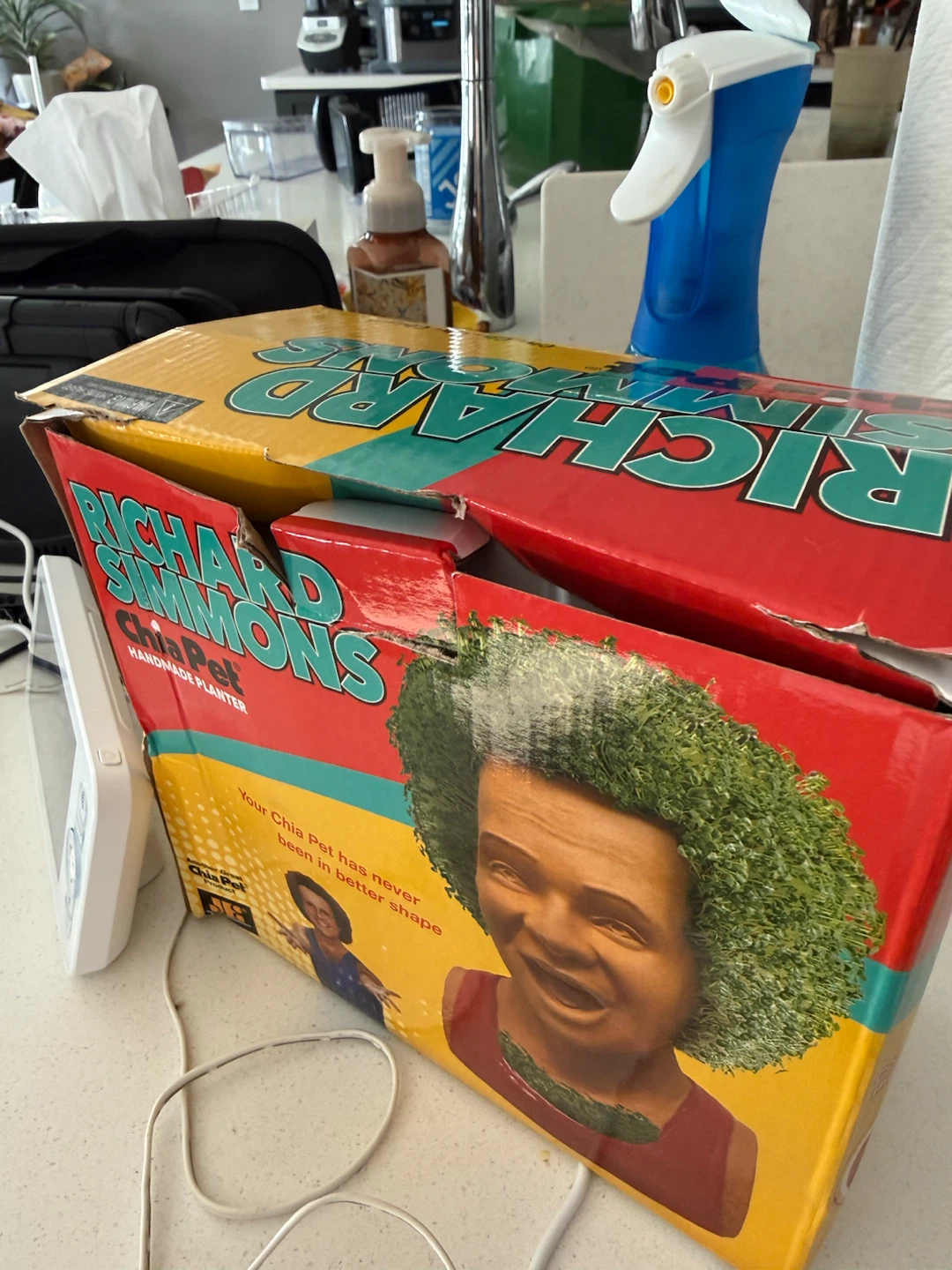 Richard Simmons Chia Pet Handmade Planter - photo 2