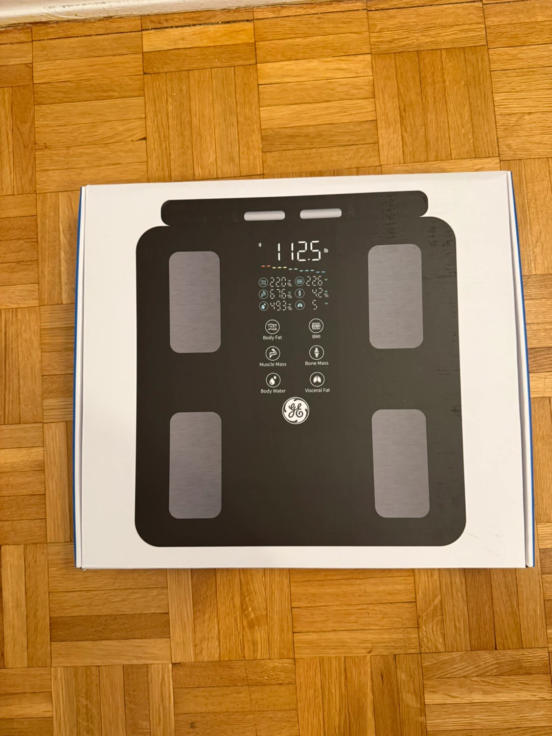 GE Body Fat Scale