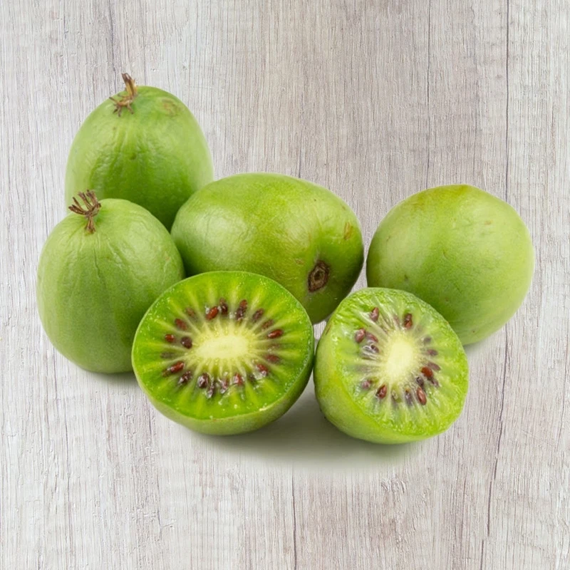 Kiwi Plant Issai - photo 2