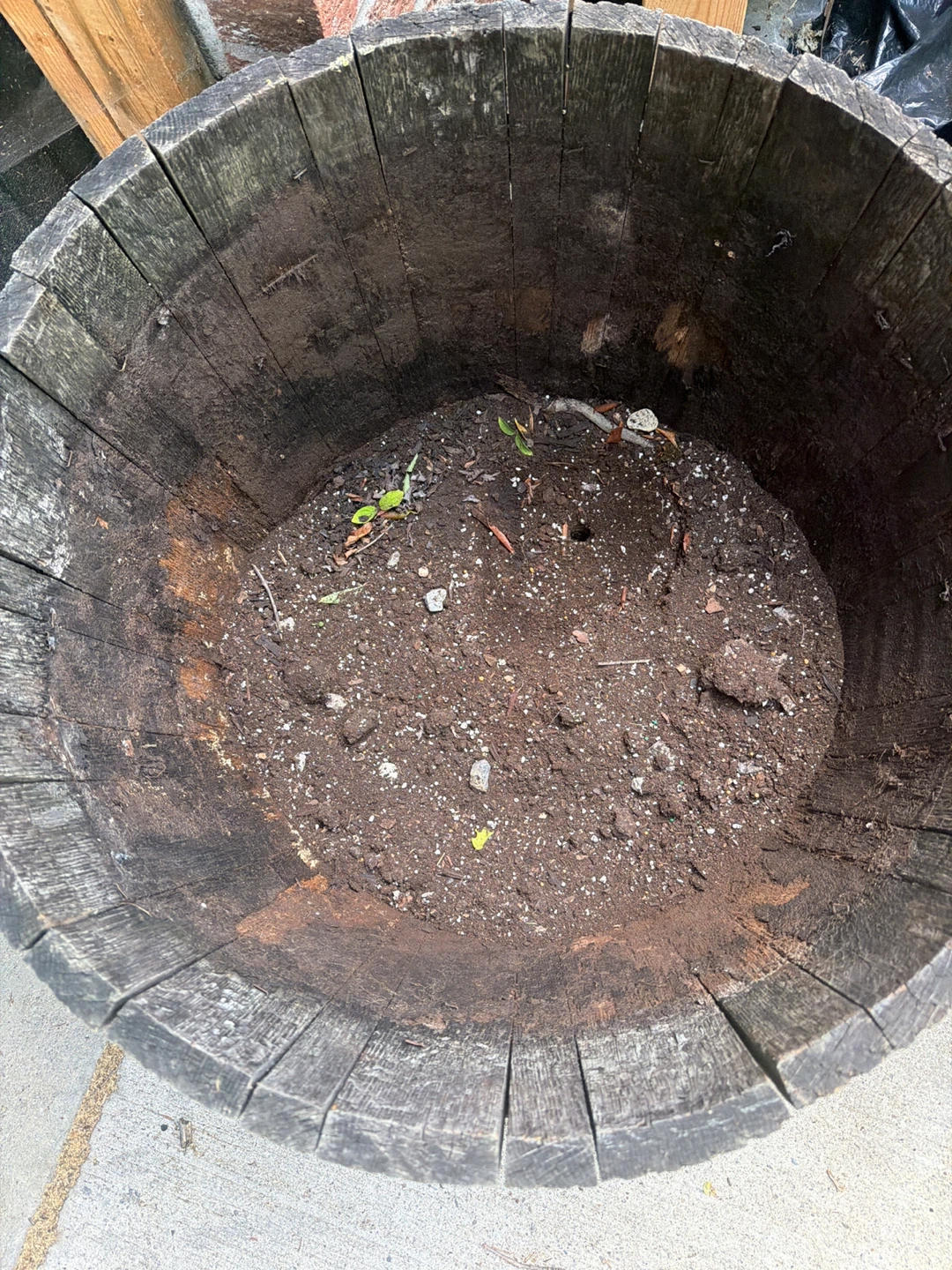 Wooden Barrel Planter - photo 2