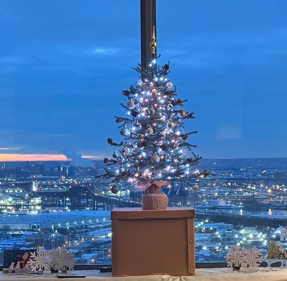 Christmas Tree and  Decorations