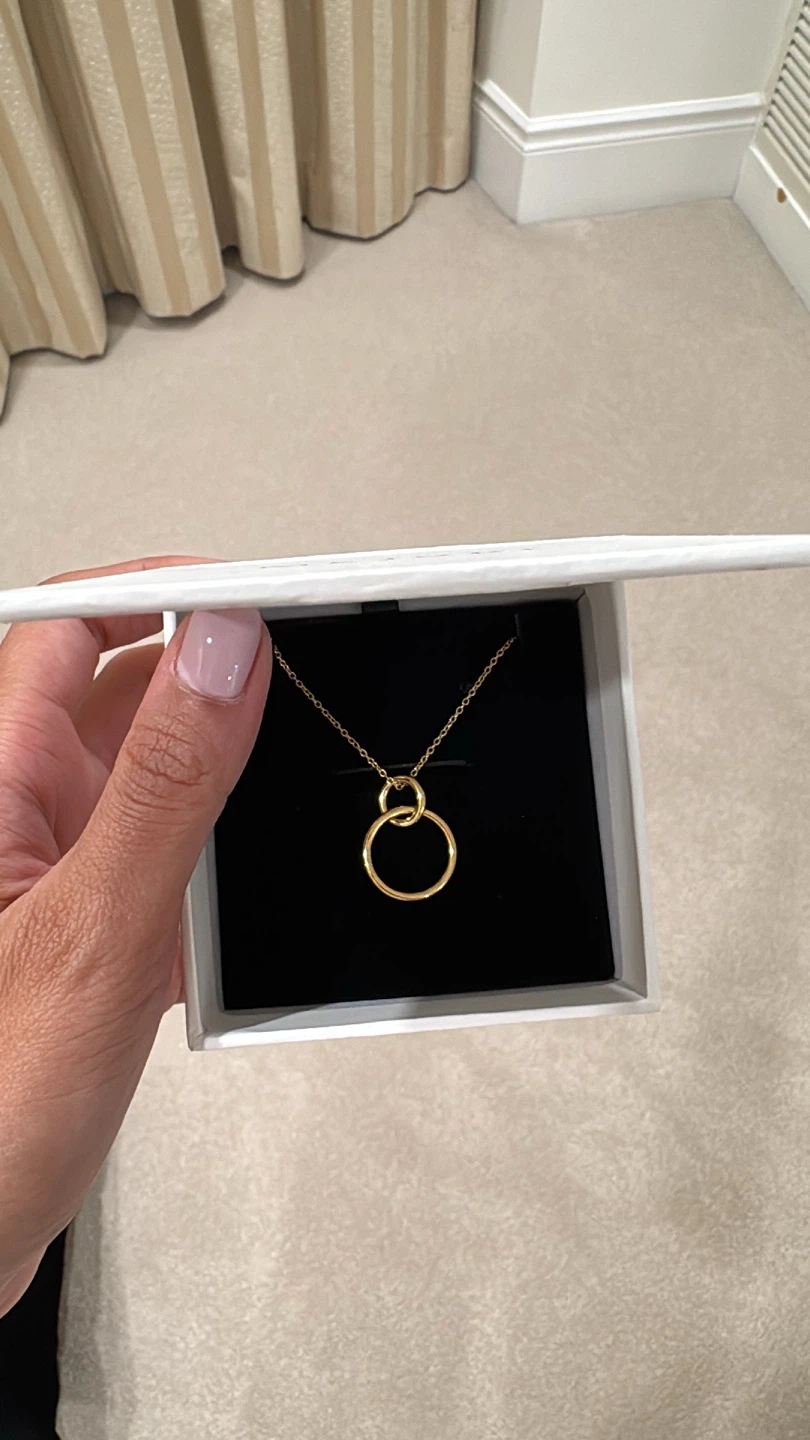 Mejuri Necklace (Vermeil)
