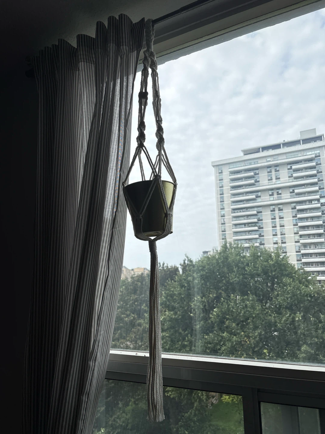 Macrame Plant Hanger