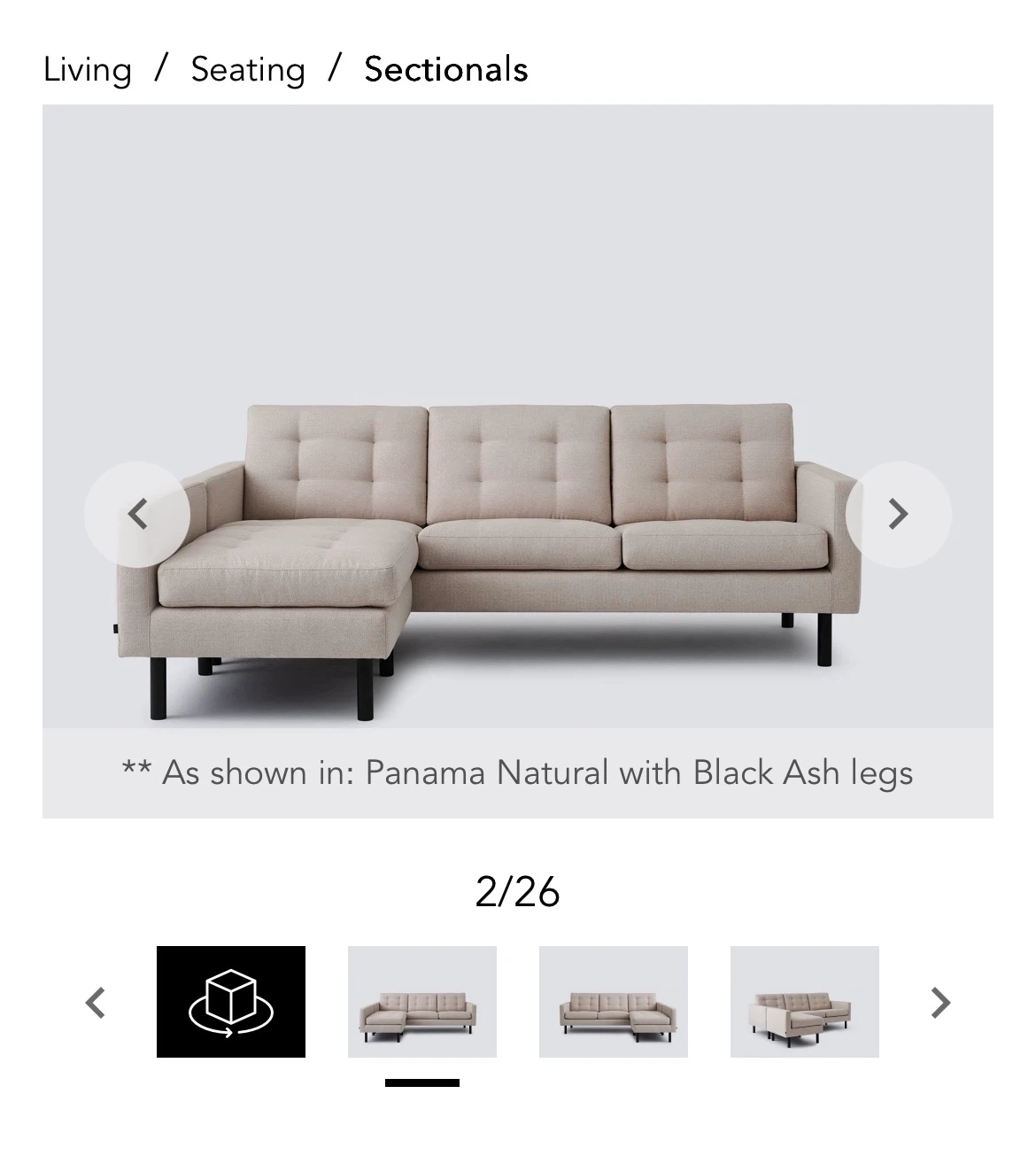 Joan 2-Piece Sectional Sofa with Extended Seat