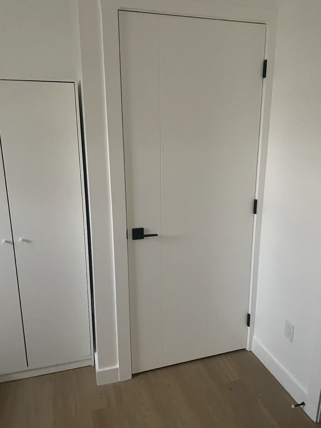 Looking for professional female  to rent out the room