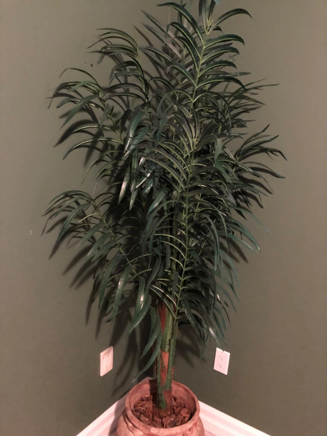 Home decor and plants - photo 5