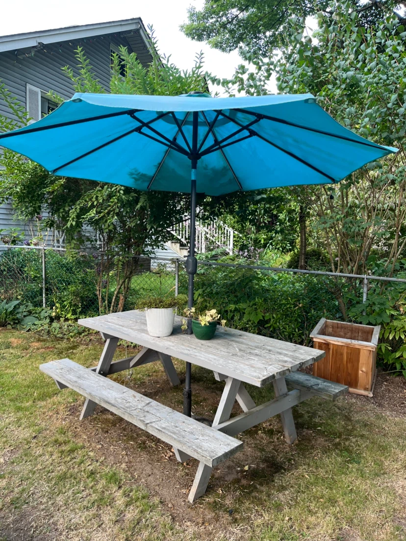 Picnic Table and Umbrella