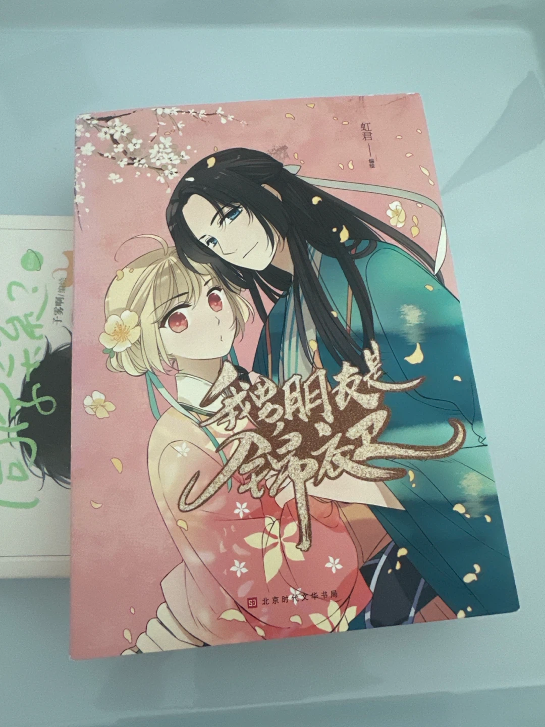 Books/Novel/Manga/Comic - photo 5