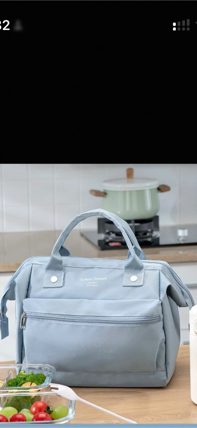 Brand New Insulated Lunch Bag – $20