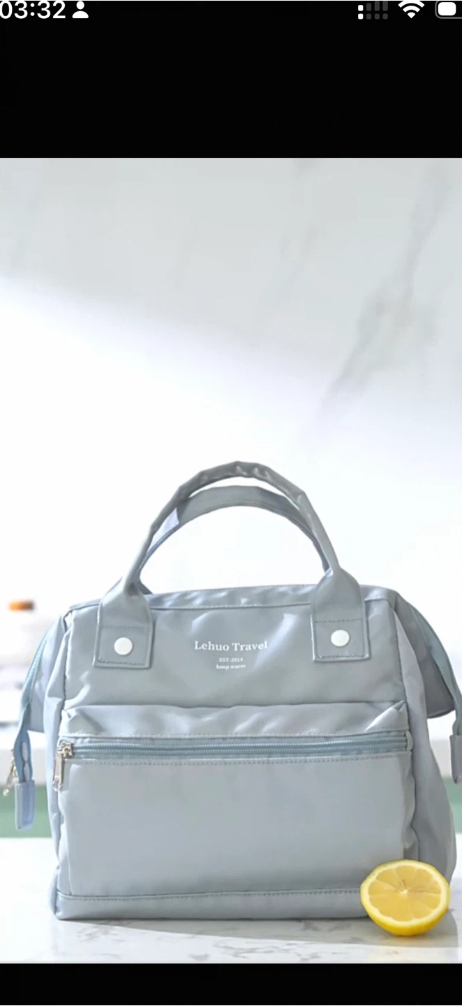 Brand New Insulated Lunch Bag – $20 - photo 2