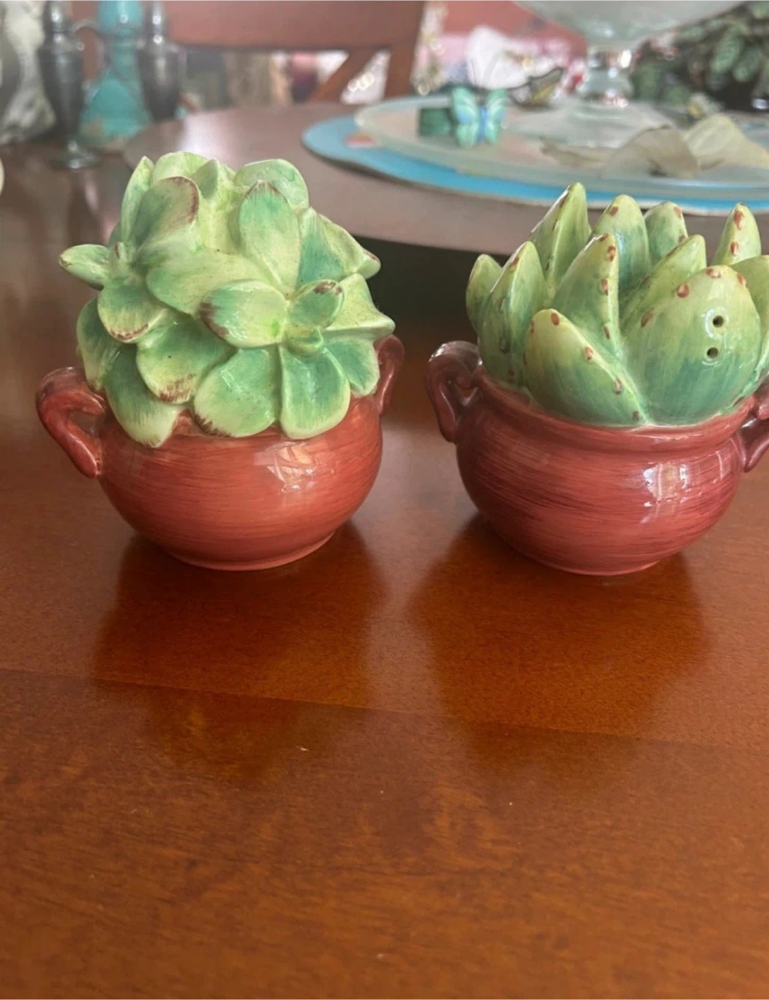 Succulent Salt and Pepper Shakers